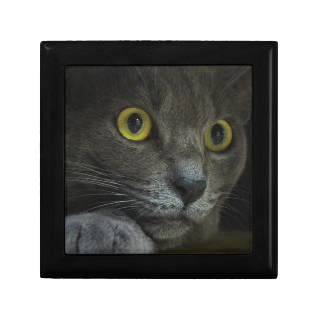 Intensity Gift Box (Front)