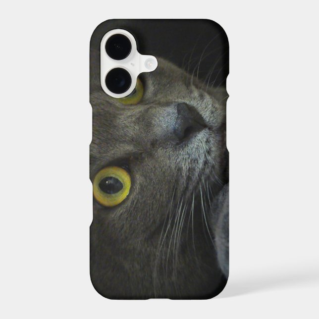 Intensity iPhone Case-Mate Case (Back)