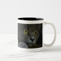 Intensity Mug