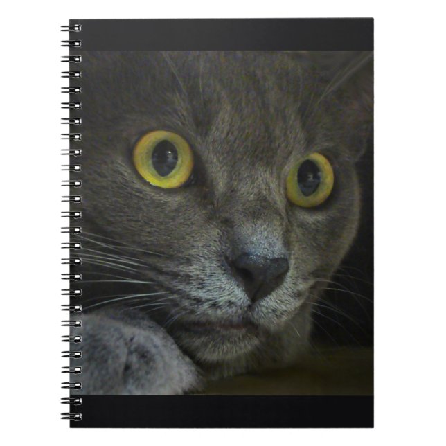 Intensity Notebook (Front)