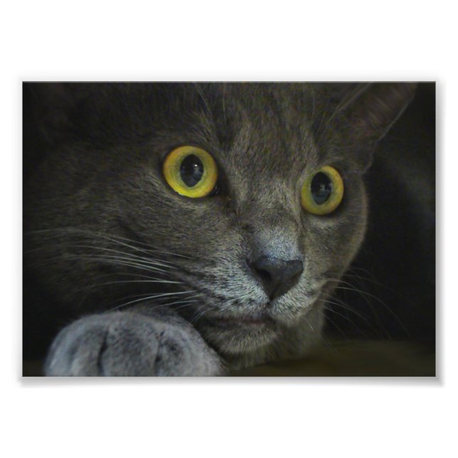 Intensity Photo Print (Front)