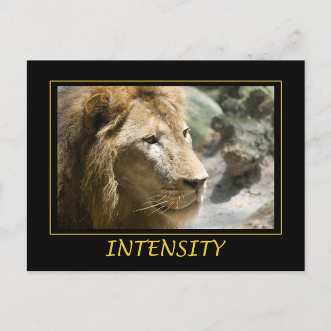 Intensity Postcard (Front)