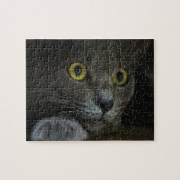 Intensity Puzzle
