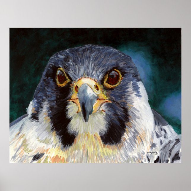 Intensity - The Falcon's Gaze Poster (Front)