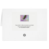 Intention - A difference in degree - card (Back Horizontal)