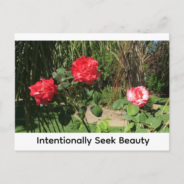 Intentionally Seek Beauty Postcard (Front)