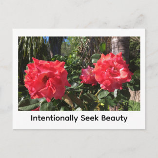 Intentionally Seek Beauty Postcard
