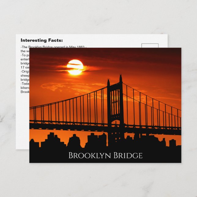 Interesting Brooklyn Bridge Facts Postcard (Front/Back)