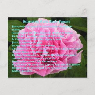 Interesting facts about January Postcard