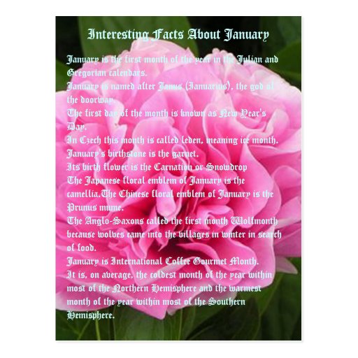 Interesting facts about January Postcard | Zazzle