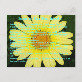 Interesting Facts about November Postcard