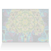 Interesting looking tree of life cards (Inside Horizontal (Top))
