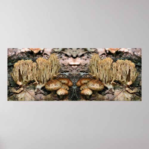 Interesting Wild Mushrooms Mirror Abstract Poster