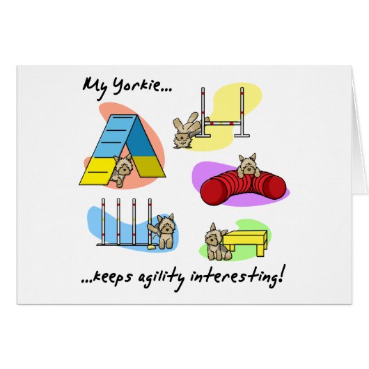 Interesting Yorkie Agility Cards (Front Horizontal)