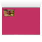 Interior of an Orchid Cards (Inside Horizontal (Bottom))