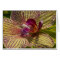 Interior of an Orchid