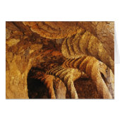 Interior vault (stone) (Front Horizontal)