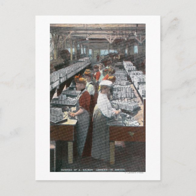Interior View of Salmon Cannery Workers Postcard (Front)