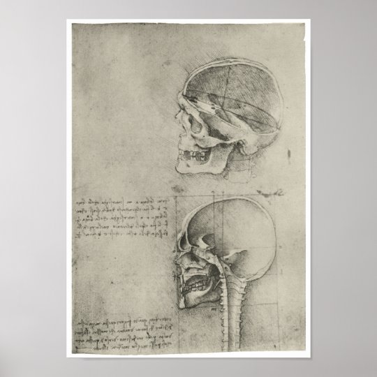 Interior View Of The Skull Leonardo Da Vinci Poster
