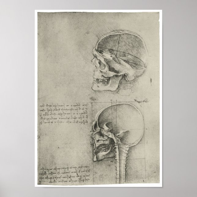 Interior View of the Skull, Leonardo da Vinci Poster (Front)