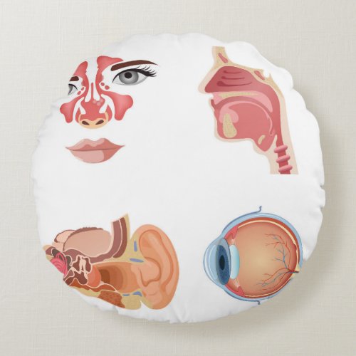 Internal human organs round pillow