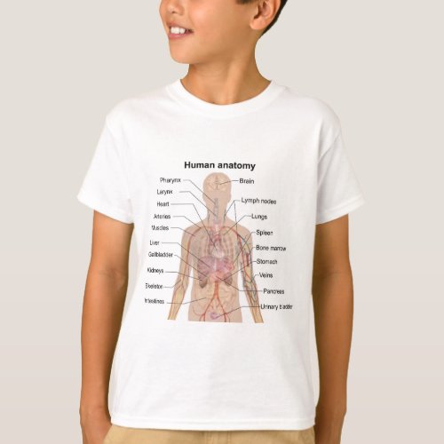 Internal Organs Human Body Anatomy Chart Boy T_Shirt