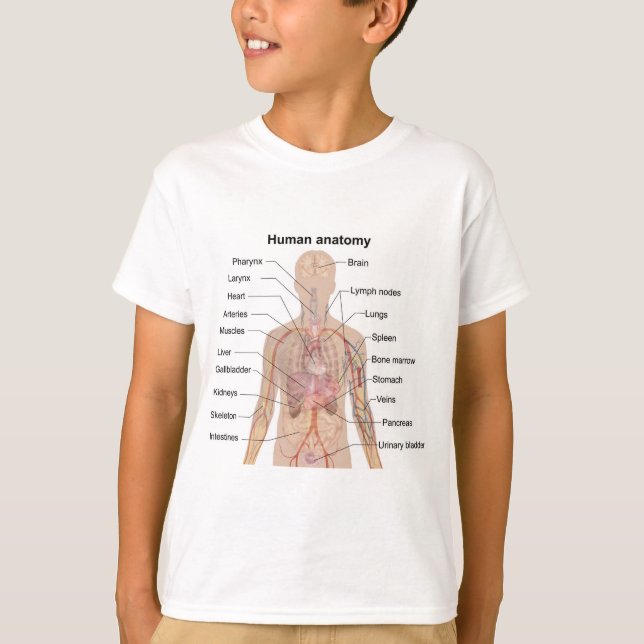 Internal Organs Human Body Anatomy Chart Boy T-Shirt (Front)