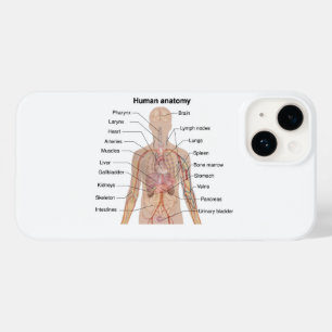 Internal Organs Human Body Anatomy Chart Case-Mate iPhone 14 Case