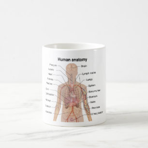 Internal Organs Human Body Anatomy Chart Coffee Mug