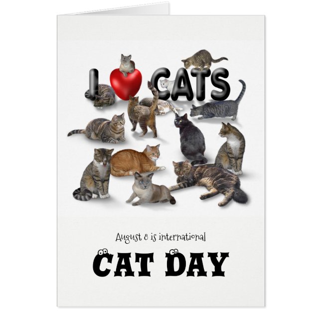 International Cat Day Cards (Front)