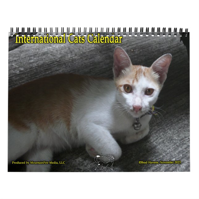 International Cats Calendar (Cover)