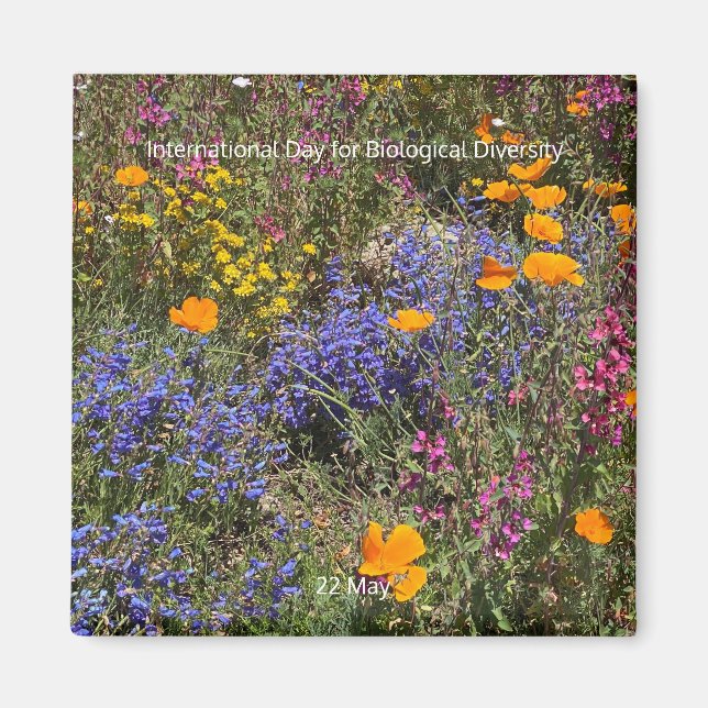 International Day for Biological Diversity Magnet (Front)