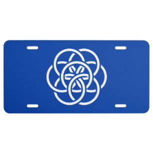 International Flag of Planet Earth License Plate