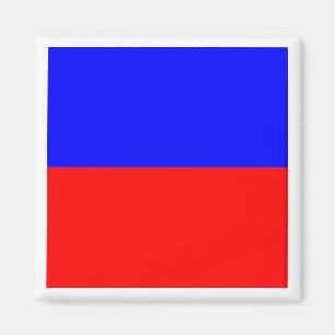 International Maritime Signal Flag ECHO Magnet