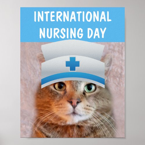 International Nursing Day Cute Cat Poster