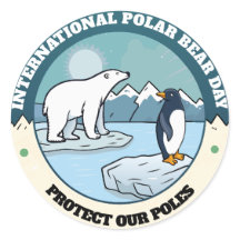 International Polar Day