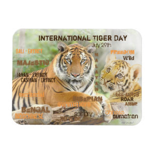 International Tiger Day, July 29, Typography Art Magnet