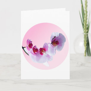 International Women's Day. Card