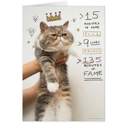 Internet Cat Celeberity Cards (Front)