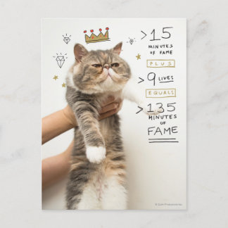 Internet Cat Celeberity Postcard