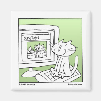 Internet Cat Magnet