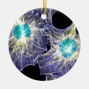 Interphase Ceramic Ornament