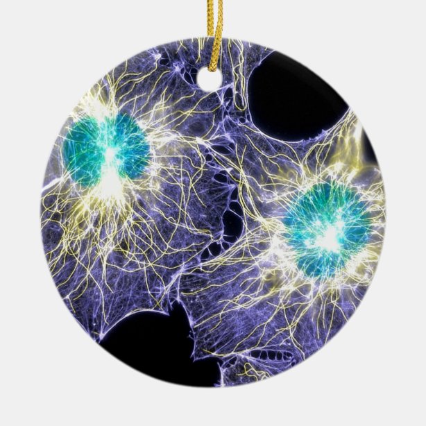 Biology Christmas Ornaments Zazzle 100 Satisfaction Guaranteed