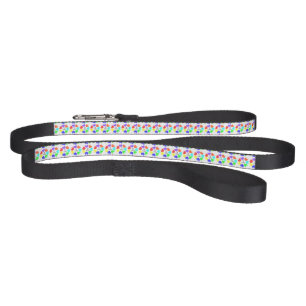 Interracial Love Rainbow Hearts Dog Leash