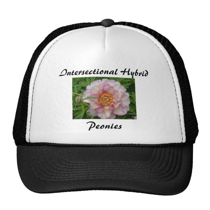 Intersectional Peony Hat, Black