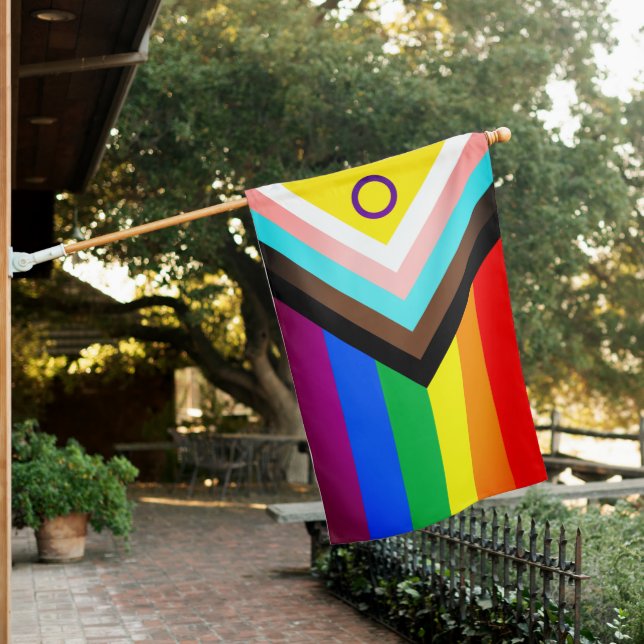 Intersex Inclusive Progress Pride Flag (In SItu)