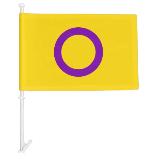 Intersex Pride Car Flag