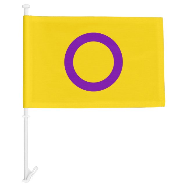 Intersex Pride Car Flag (Front)