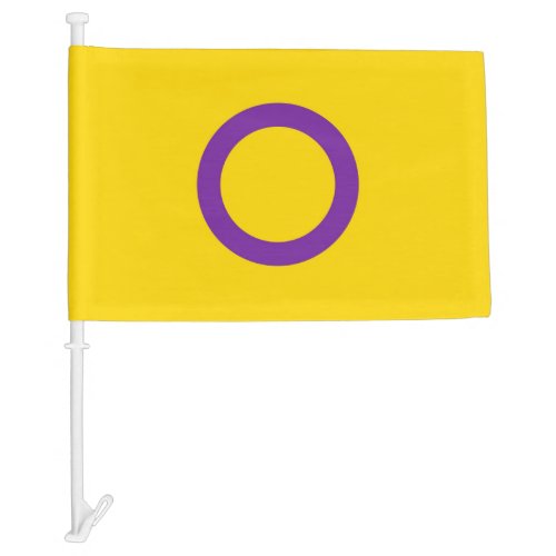 Intersex Pride Car Flag