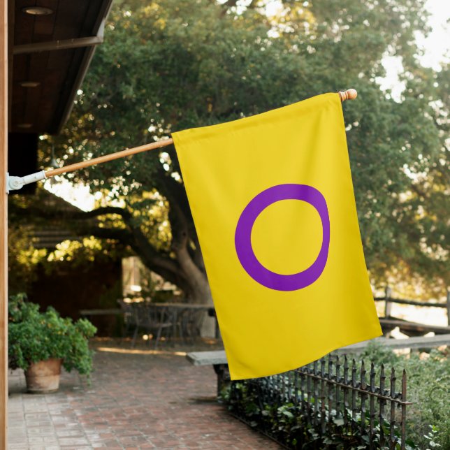 Intersex Pride flag (In SItu)